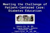 Meeting the Challenge of Patient-Centered Care: Diabetes Education Roberta Eis, RN, MBA Sr. Program Manager, Diabetes Initiatives, HFHS Pamela Milan, RD,