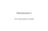 Metabolism The Absorptive State. Anabolic Pathways Muscle Liver Amino Acids Glucose Chylomicrons Fat glycogenKeto acids proteinglycogen Fatty acids TAG.