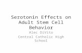 Serotonin Effects on Adult Stem Cell Behavior Alec DiVito Central Catholic High School.