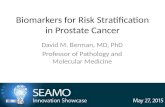 Biomarkers for Risk Stratification in Prostate Cancer David M. Berman, MD, PhD Professor of Pathology and Molecular Medicine.