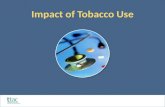 Impact of Tobacco Use. Effects of Tobacco Use at Various Life Stages.