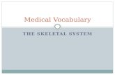 THE SKELETAL SYSTEM Medical Vocabulary. Achondroplasia Main Entry: achon·dro·pla·sia Pronunciation: \ā-kän-dr ə -plā-zh(ē-) ə \ Definition: a genetic.