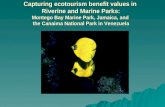 Capturing ecotourism benefit values in Riverine and Marine Parks: Montego Bay Marine Park, Jamaica, and the Canaima National Park in Venezuela.