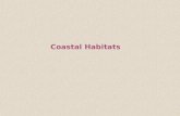 Coastal Habitats. The term coast has a much broader meaning than shoreline and includes many other habitats and ecosystems associated with terrestrial.