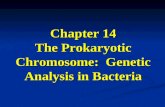 Chapter 14 The Prokaryotic Chromosome: Genetic Analysis in Bacteria.
