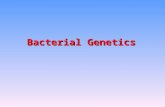 Bacterial Genetics. The science of genetics describes and analyze heredity of physiologic functions that form the properties of organism. These properties.