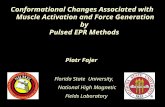 Florida State University, National High Magnetic Fields Laboratory Piotr Fajer Conformational Changes Associated with Muscle Activation and Force Generation.