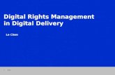 Digital Rights Management in Digital Delivery Le Chen 1 2010.