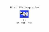 Bird Photography by KK Hui ARPS. Bird Photography 1.Why Bird Photography?Why Bird Photography? 2.Ethics of Bird PhotographyEthics of Bird Photography.