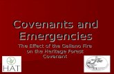 Covenants and Emergencies The Effect of the Galiano Fire on the Heritage Forest Covenant.