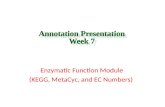 Enzymatic Function Module (KEGG, MetaCyc, and EC Numbers)