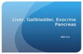Liver, Gallbladder, Exocrine Pancreas KNH 411.