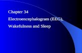 Chapter 34 Electroencephalogram (EEG), Wakefulness and Sleep