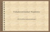 Tubulointristitial Nephritis Dr.boshra hasanzamani.