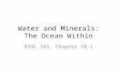 Water and Minerals: The Ocean Within BIOL 103, Chapter 10-1.