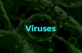 Viruses. Viruses Viruses are very simple forms of life. Viruses are very simple forms of life. There is open debate over whether they are alive at all,