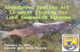 Endangered Species Act 12-month finding for Lake Sammamish Kokanee February 8, 2012 Kokanee Work Group Meeting.