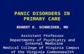 PANIC DISORDERS IN PRIMARY CARE ROBERT K. SCHNEIDER, MD Assistant Professor Departments of Psychiatry and Internal Medicine Medical College of Virginia.
