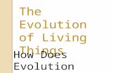 The Evolution of Living Things How Does Evolution Happen?