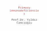 Primary immunodeficiencies Prof.Dr. Yıldız Camcıoğlu.