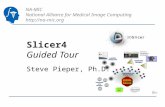 NA-MIC National Alliance for Medical Image Computing   Slicer4 Guided Tour Steve Pieper, Ph.D