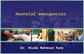 Neonatal emergencies Dr. Miada Mahmoud Rady. Hypoglycemia in newborn Definition : blood glucose level of less than 45 mg/dL in full-term or preterm newborns.