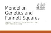 Mendelian Genetics and Punnett Squares GENETIC CONTINUITY, GREGOR MENDEL AND MONOHYBRID CROSSES.