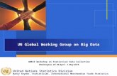 UN Global Working Group on Big Data UNECE Workshop on Statistical Data Collection Washington, DC 29 April – 1 May 2015 United Nations Statistics Division.