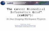 The cancer Biomedical Informatics Grid™ (caBIG™): In Vivo Imaging Workspace Projects Fred Prior, Ph.D. Mallinckrodt Institute of Radiology Washington University.