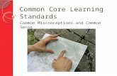 Common Core Learning Standards Common Misconceptions and Common Sense.