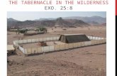 THE TABERNACLE IN THE WILDERNESS EXO. 25:8. THE TABERNACLE IN THE WILDERNESS.