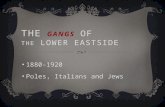 THE GANGS OF THE LOWER EASTSIDE 1880-1920 Poles, Italians and Jews.