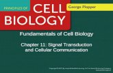 Fundamentals of Cell Biology Chapter 11: Signal Transduction and Cellular Communication.