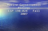 Marine Conservation Biology ESP 198-024 Fall 2007.