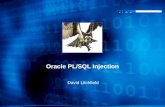 Oracle PL/SQL Injection David Litchfield. What is PL/SQL? Procedural Language / Structured Query Language Oracle’s extension to standard SQL Programmable.