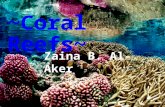 ~Coral Reefs~ Zaina B. Al-Aker. Where Coral Reefs Are Located.