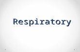 Respiratory. Key Pediatric Differences in the Respiratory System Lack of or insufficient surfactant (premature infant) Smaller airways and underdeveloped.