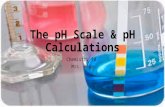 The pH Scale & pH Calculations Chemistry 10 Mrs. Page.