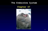 1 The Endocrine System Chapter 47. 2 Outline Types of Regulatory Molecules Endocrine Glands and Hormones Paracrine Regulation Hormones That Enter Cells.