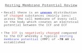 Resting Membrane Potential Review Recall there is an uneven distribution of charged substances (mainly ions) across the cell membrane of every cell in.