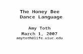 The Honey Bee Dance Language Amy Toth March 1, 2007 amytoth@life.uiuc.edu.