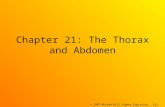 © 2007 McGraw-Hill Higher Education. All rights reserved. Chapter 21: The Thorax and Abdomen.