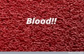 Blood!!. Blood The fluid portion of cardiovascular system Connective Tissue Serves the body’s 75 Trillion Cells!! WOW!