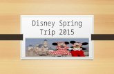 Disney Spring Trip 2015. Why Disney Every year we take a trip that allows our talented musicians a performance opportunity that they can’t find here in.