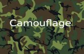 Camouflage. *Animals and people hide things for various reasons. *Animals in nature hide their young to protect them from predators. *Pirates hide stolen.