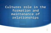 Cultures role in the formation and maintenance of relationships.