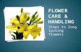 Steps to long lasting flowers.  to get the longest life possible out of the flower  customers are pleased when they buy quality flowers  promising.