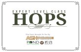 E VALUATING HOPS Aroma of Raw Hops Examine appearance (color, moisture) Rub lightly, smell Crush and release aromas, smell Hop Aroma in Beer Hop oils