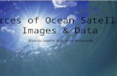 Sources of Ocean Satellite Images & Data Ricardo Letelier & Jasmine Nahorniak.
