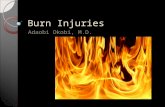 Burn Injuries Adaobi Okobi, M.D.. Learning Objectives Epidemiology Pathophysiology Classification of burns Red flags Treatment.